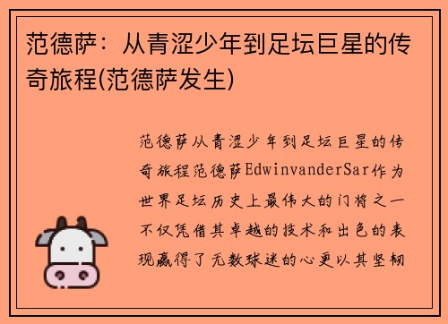 范德萨：从青涩少年到足坛巨星的传奇旅程(范德萨发生)