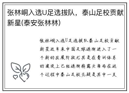 张林峒入选U足选拔队，泰山足校贡献新星(泰安张林林)