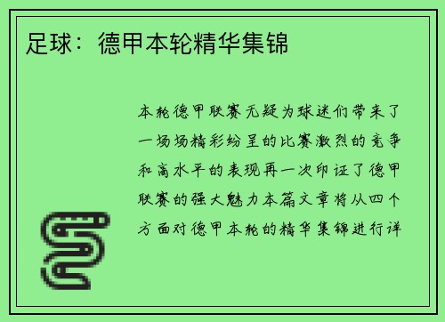 足球：德甲本轮精华集锦