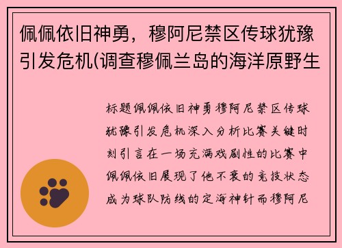 佩佩依旧神勇，穆阿尼禁区传球犹豫引发危机(调查穆佩兰岛的海洋原野生态)
