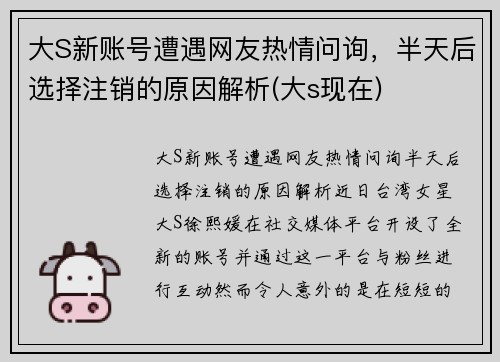 大S新账号遭遇网友热情问询，半天后选择注销的原因解析(大s现在)
