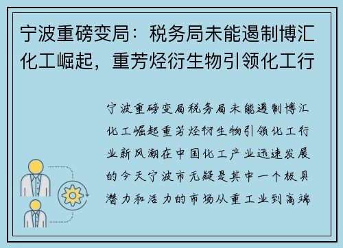 宁波重磅变局：税务局未能遏制博汇化工崛起，重芳烃衍生物引领化工行业新风潮