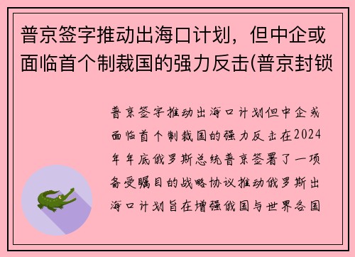 普京签字推动出海口计划，但中企或面临首个制裁国的强力反击(普京封锁海峡)